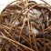 LOZA nest 15 grams