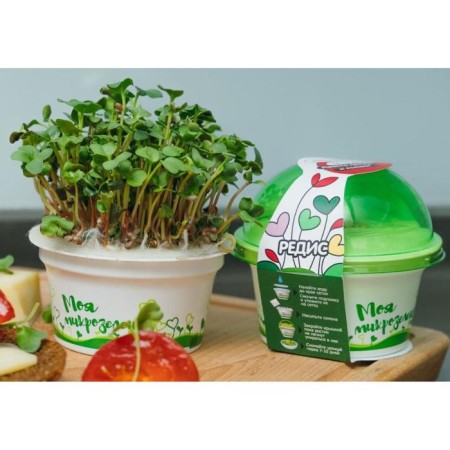 Set for growing "My microwave", radishes-4