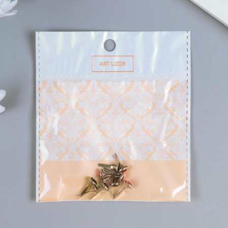 Brads for scrapbooking "Strazinki" set 10 pcs mix 1.4x0.8x0.8 cm-2