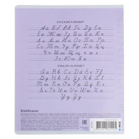 Notebook 12 sheets in the slanting line of Erichkrause CoverPro classic, plastic cover, offset block, mix-12