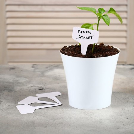 Garden signs for marking, 10 cm, set 20 pcs., Plastic, color mix, Greengo-2