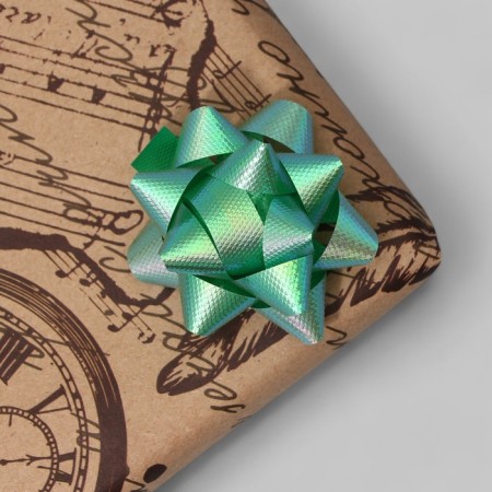 Bant-star No. 5 (packing 50 pcs)-7