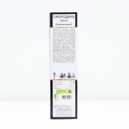 Currant Black Prospective varieties "Selechenskaya - 2", tube, 1 pc, spring 2025-2