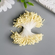 Stamens for flowers 