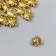 Beads Metal for creativity "Turtle" gold set 20 pcs
