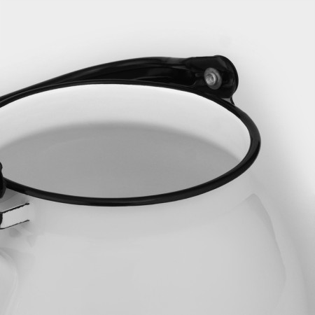 Spherical kettle without a decolle, 3 l, induction, white color-2