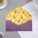 Money envelope "Happy Birthday!" Cutting off, congregation, embossing, apricots, 9.3x19 cm