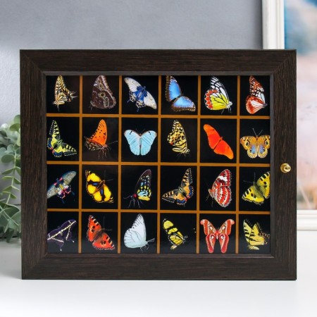 Key of the "butterfly" 24x29 cm
