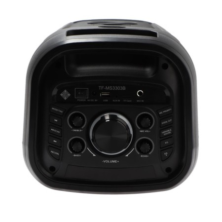 Portable column Telefunken TF-MS3303, 90 W, 5000 mAh, TWS, AUX, FM, display, backlight-2