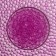 Aquagrunt Fuchsia, 200 g