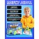 Electronic designer - Robotics "Funny robots", 3 models, on batteries