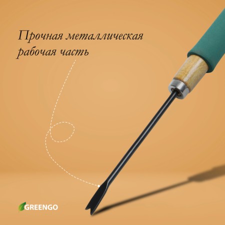 Corneumer, length 32 cm, wooden handle with foam-2