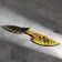 Wooden souvenir "ax", yellow leopard