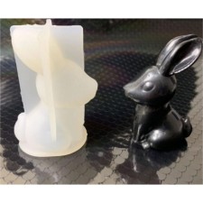Mold Silicon 3D 
