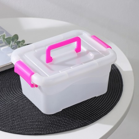 Storage container "Diplomat", 20.5 × 15 × 9.5 cm, cover with a handle on the latch, color mix-1