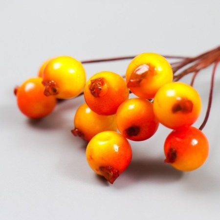 Decor for creativity "Red-orange berries" 1 bouquet = 10 berries d = 1 cm 10 cm-2