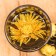 Chinese bound green tea, 50 g, yellow chrysanthemum