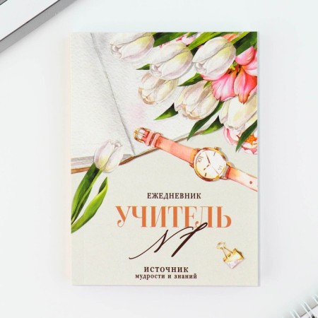 Gift set "Gift to an expensive teacher": Diary A6, 120 liters, keychain, handle-9
