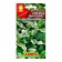 Mint seeds "Fresh breath", c/p, 0.04 g