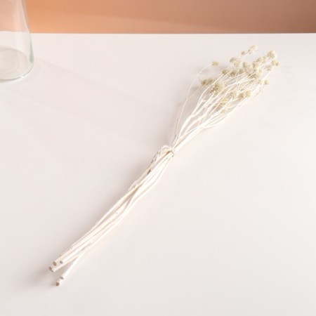 A set of dried flowers "Eringium", ban 5 pcs, length 50 (+/- 6 cm), white-3