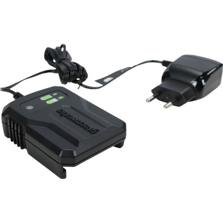 Charger GreenWorks G40UC2M, Slider, 40 V, 2 - 4 A-1