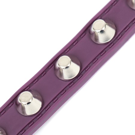 A collar with blurted spikes 38 x 1.5 cm, Osh 26-33, frost-resistant PU, purple material-5