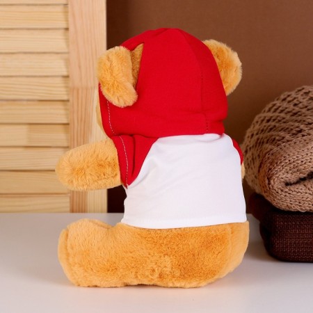 Soft toy "Bear" in the jacket, 23 cm, color mix-4