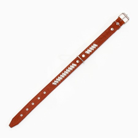 Leather collar on felt decorated, 65 x 3.5 cm, Osh 50-60 cm, brown-3
