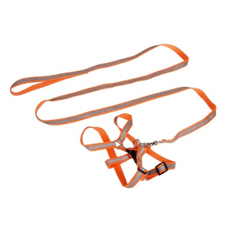 A set with a reflective ribbon, a collar of 120 x 1 cm, fire 26-40 cm, orange-1