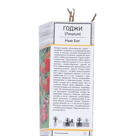 Coji (Licium, Dereza ordinary) "New Big", 1 pc, tube, spring 2025-1