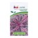 Cabbage Cabbage seeds curly "Scarlet", 0.3 g