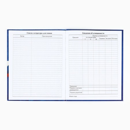 School diary for grade 1-11, in an integrated cover, 40 l. "Russia. Blue"-3