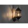 Garden-park lamp Feron PL121, IP44, E27, 60 W, 165x200x430 mm, color black gold