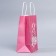 Gift Crafts, Packaging, “Spring Festival”, 12 x 21 x 9 cm