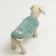 Knitted sweater, velor, size M (DS 30, Osh 27, OG 40 cm), turquoise