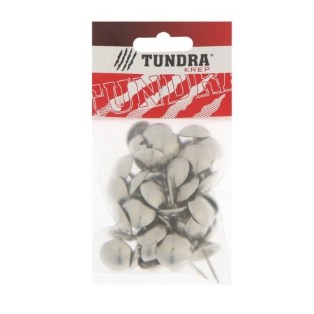 Tundra nails, decorative, 19x22 mm, chrome, 50 pcs-5