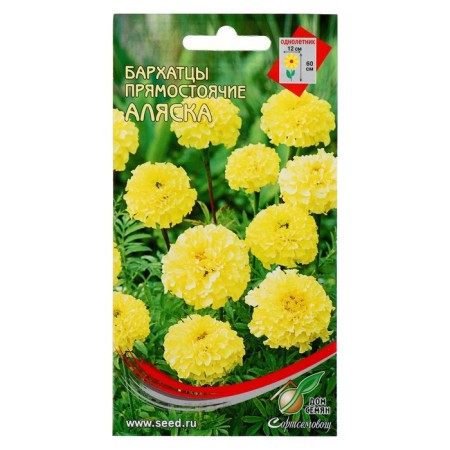 Flower seeds of marigold "Alaska" 40 pcs
