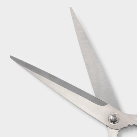 Scissors kitchen shares "Profi", 23 cm, black color-2