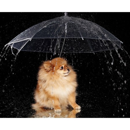 An animal umbrella "friend", d = 76 cm