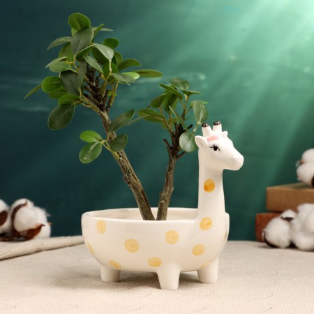 Kashpo - Bonsai "Giraffe" 19x13x13cm
