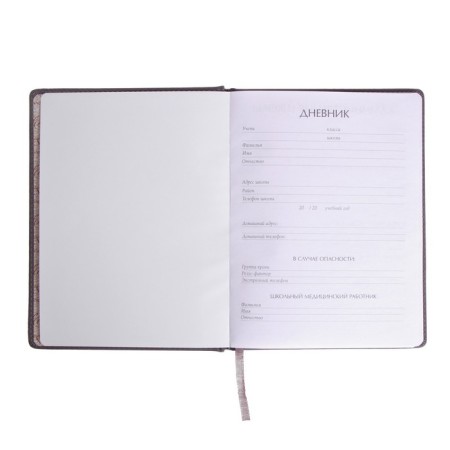 Universal diary for grades 1-11, 48 Velvet sheets, hard cover, artificial leather, thermoting, liesse, block 70 g/m2, light gray-5
