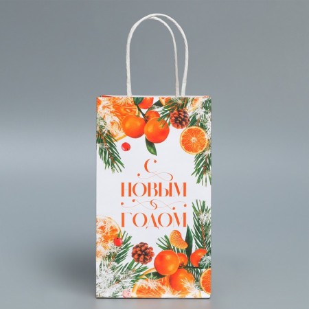 Package Gift Crafts "New Year's Citrus", 12 x 21 x 9 cm, New Year-3