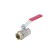 Balloon Aquasfera Euro 1001-08, 3 ", PN 12, internal thread, lever, brass, nickel
