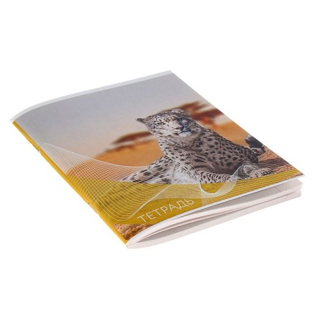 A notebook of 96 sheets in the Calligrata "Wild Cats" line, covered cardboard, block No. 2, whiteness 75% (gray sheets), mix-2