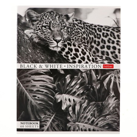 A notebook of 60 sheets in the "inspiration" cage, the cover coated cardboard, an offset block 65g/m2-6