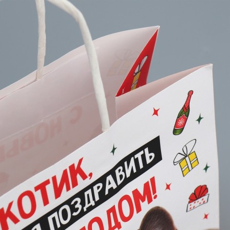Package Gift Craft "Kotik", 22 x 22 x 11 cm, New Year-5