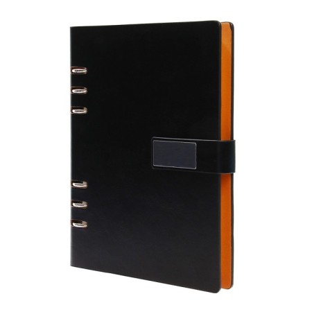 Organizer on the rings, PVC, A5, 140 sheets in a cage, with a refrain, mix