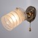 Bra 2017/1gd E27 60W gold 15x11x17 cm