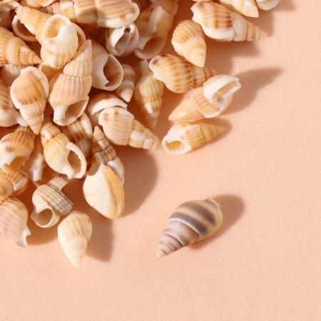 Natural decorative shells "beige" set of 100 grams-1