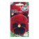 Flower seeds violet "Alpenglou", 0.05 g